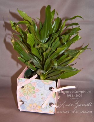 Coaster-plant-holder