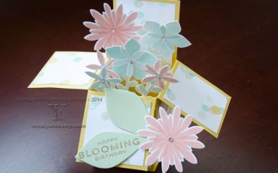 Card in A Box…and Best Laid Plans