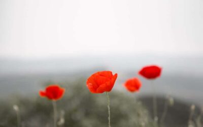 #RememberThem