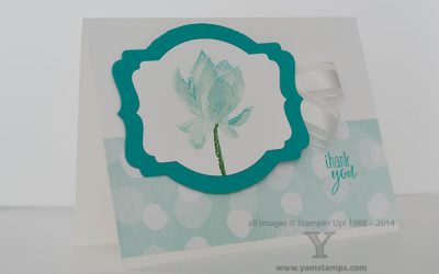 Celebrate Sale-a-Bration!