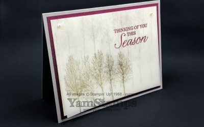 Winter Woods Vellum Card