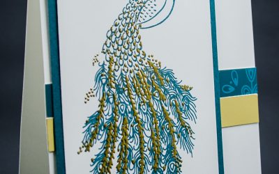 Pretty Peacock
