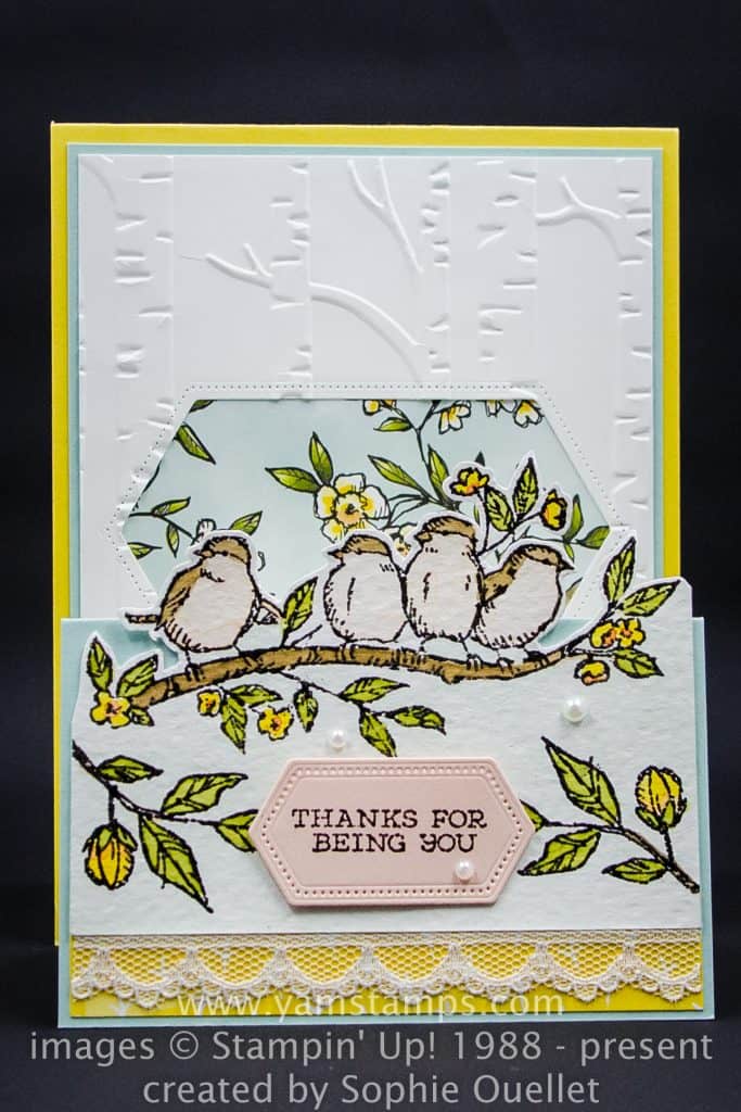 fancy fold bird card