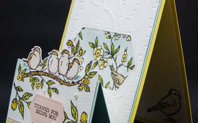 Fancy Fold Bird Card