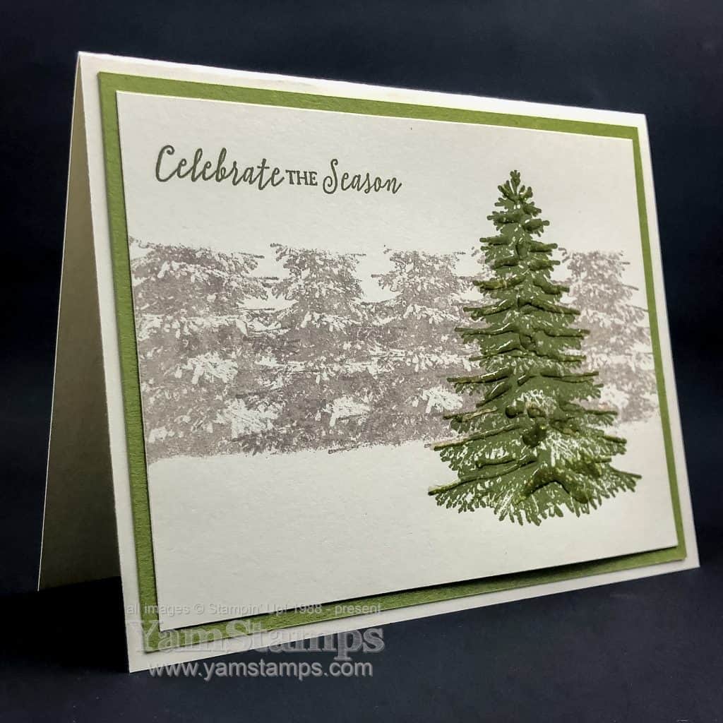 winter evergreen card