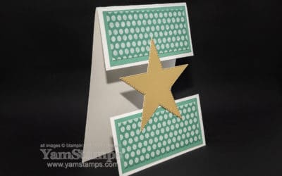 Starry Fun Fold Card