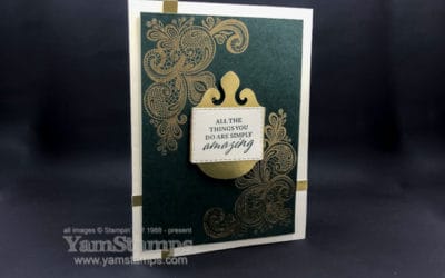 Black Friday Special!