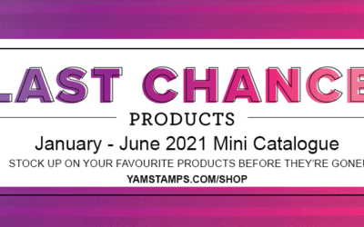 Retiring Mini Catalogue Products