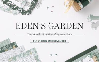 Eden’s Garden blooms 2 November 21