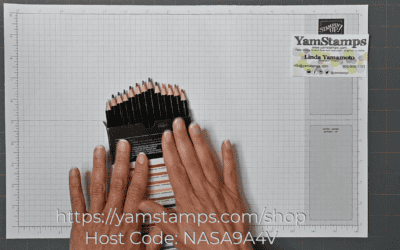 Product Focus – Watercolor Pencils